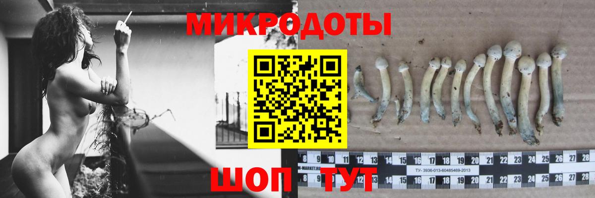 Галлюциногенные грибы мухоморы  Вход с VPN  Кирово-Чепецк  Галлюциногенные грибы GOLDEN TEACHER 